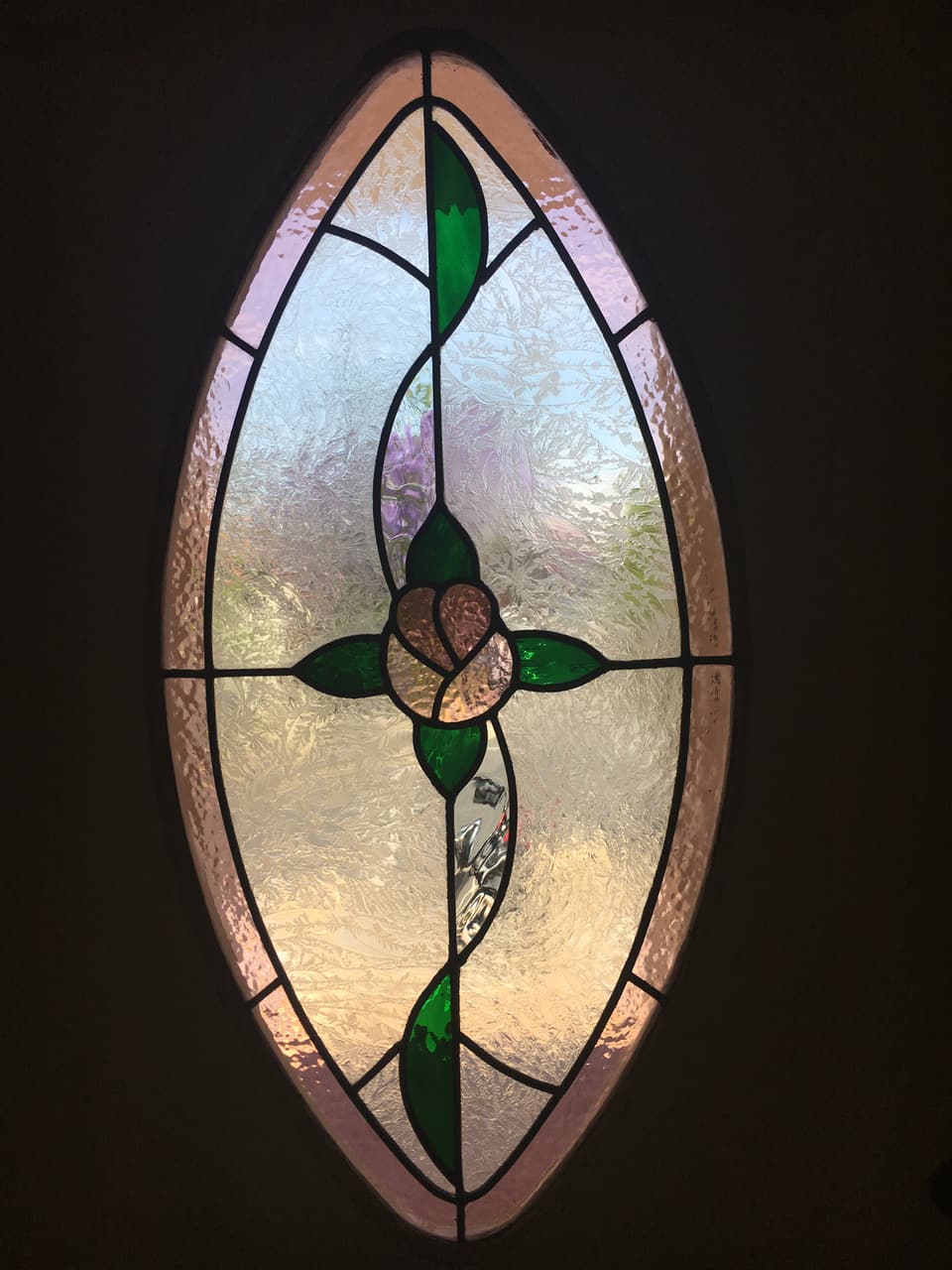 Oval Federation rose panel dramatically backlit